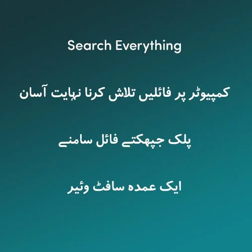 search-everything-1